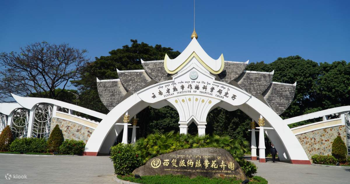 TDK yalangoch teleboshlovchilar